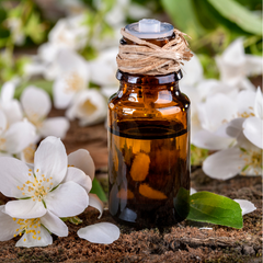 Jasmine Fragrance Oil