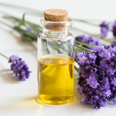 Lavender Fragrance Oil