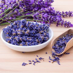 Lavender Fragrance Oil