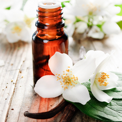 Vanilla Fragrance Oil