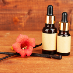 Vanilla Fragrance Oil