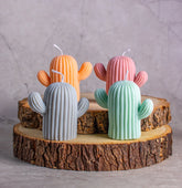 Cactus Soy Wax Candle in Assorted colour and fragnance- Set of 4