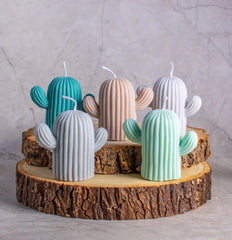 Cactus Soy Wax Candle in Assorted colour and fragnance- Set of 4