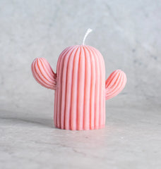 Cactus Soy Wax Candle in Assorted colour and fragnance- Set of 4
