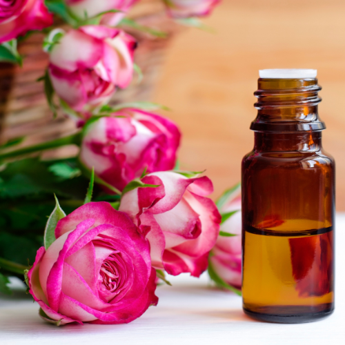 Rose Fragrance Oil